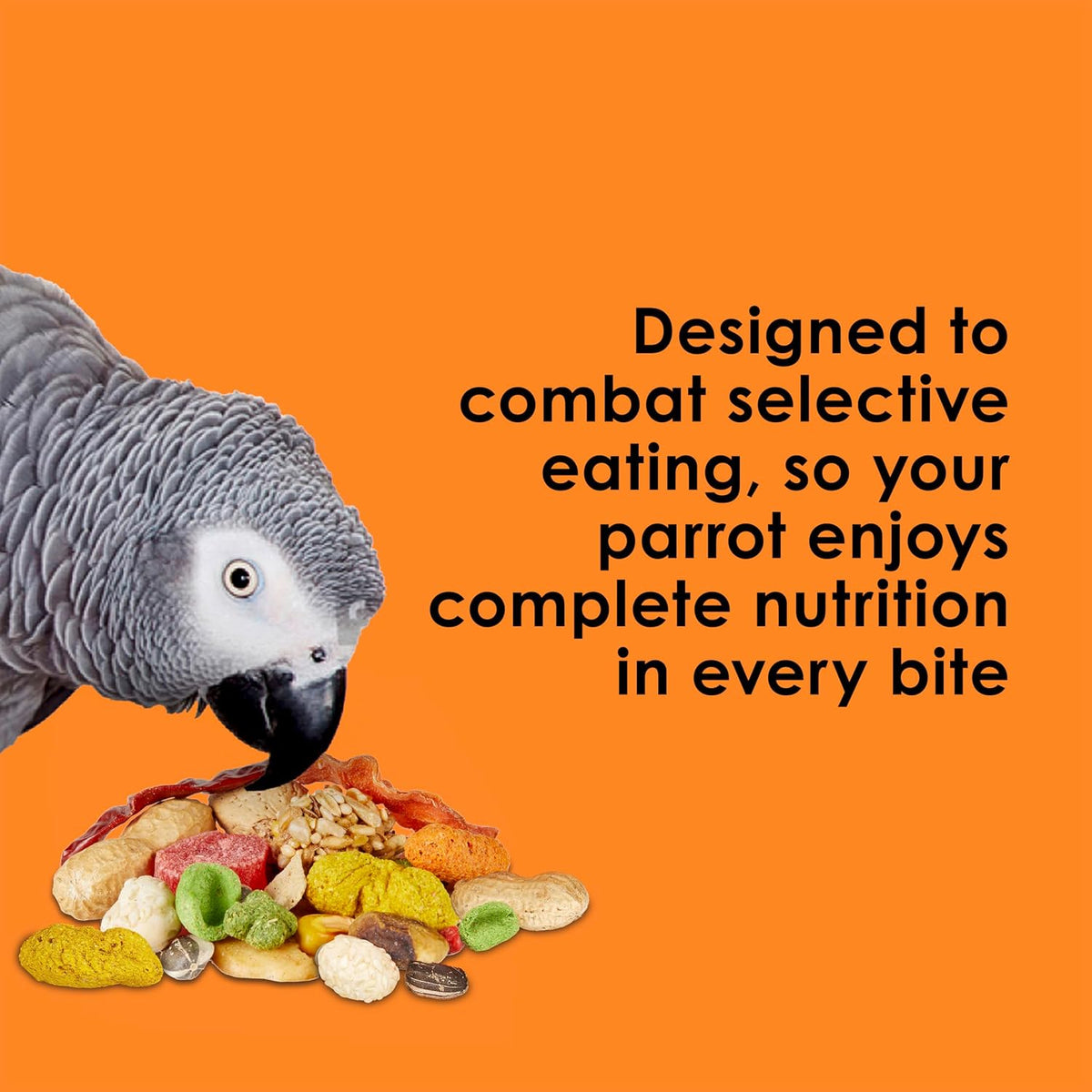 Close up of Kaytee Fiesta parrot food ingredients texture