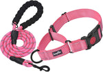 haapaw Martingale Dog Collar with Quick Release Buckle Reflective Dog Training Collars for Small Medium Large Dogs - Image 12