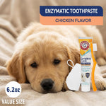 Dual-headed toothbrush for puppies included in the dental kit