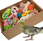 Kencunay colorful parrot foraging and tearing toy box front view filled with natural bird shredding materials
