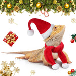 Weewooday bearded dragon Santa hat and red green scarf set for reptiles