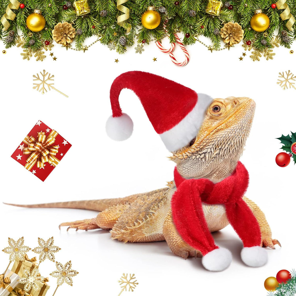 Weewooday bearded dragon Santa hat and red green scarf set for reptiles