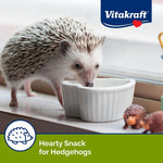 Authentic USA imported Sunseed hedgehog snack pouch on a clean surface