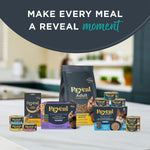 B Corporation certified Reveal pet food treats for adult cats