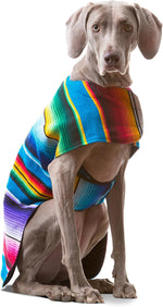 Dog Clothes - Handmade Dog Poncho from Authentic Mexican Blanket by Baja Ponchos (Blue, Small) - Image 9