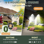 Lendro outdoor solar street light showing integrated solar panel