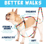 2 Hounds Design harness showing front leash attachment loop