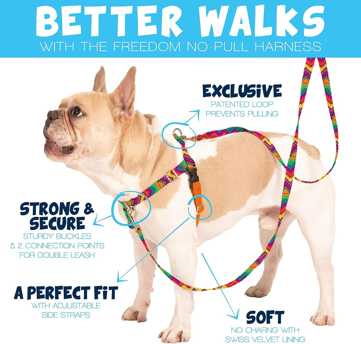 2 Hounds Design harness showing front leash attachment loop