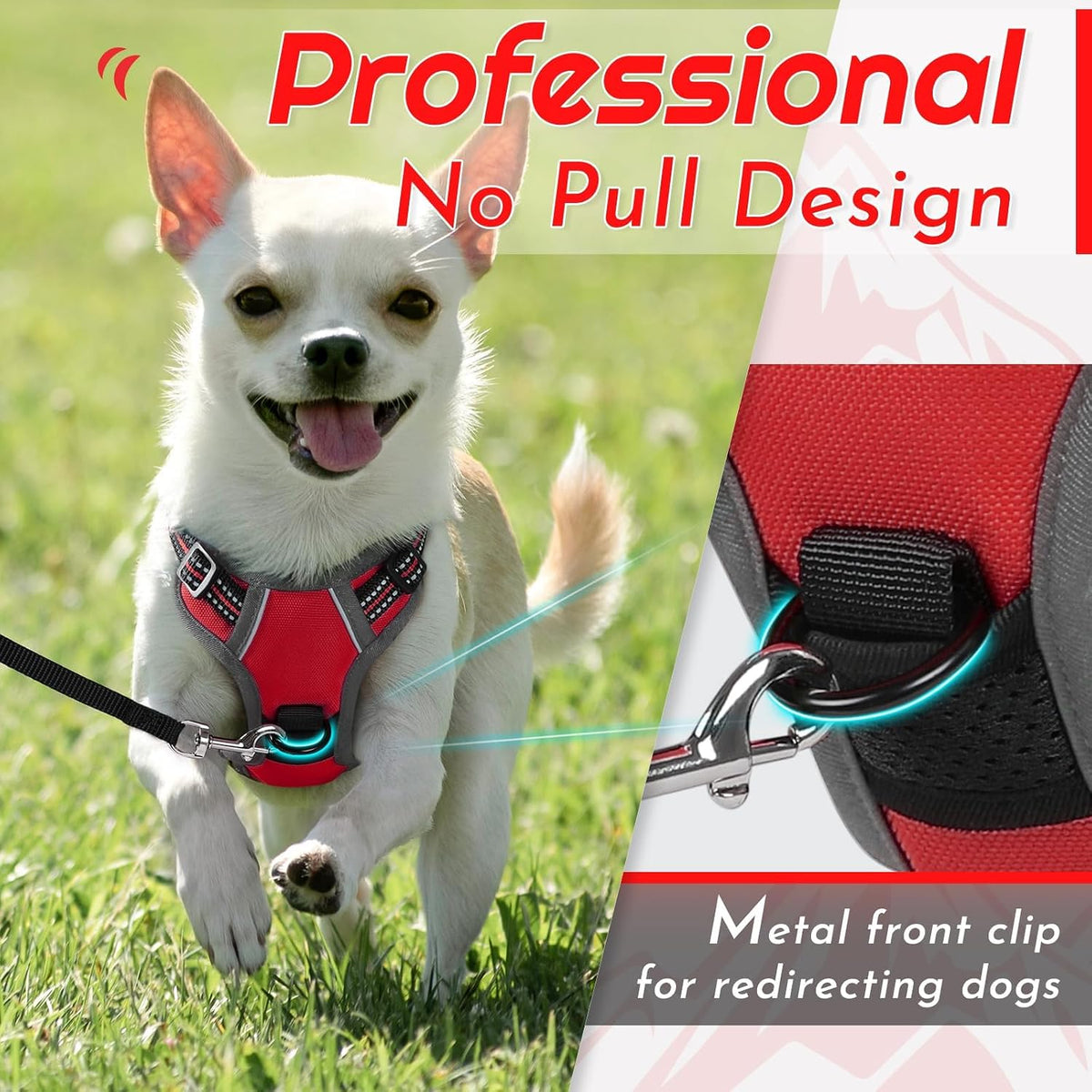 Eagloo puppy harness showing dual leash rings