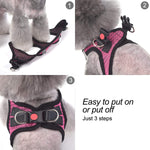 Matilor pet vest step-in design demonstration