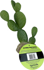 Multipet Komodo terrarium plant packaging and product