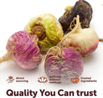 Micro Ingredients Maca Root Complex daily wellness usage graphic