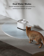 Cat drinking from the Petlibro cordless water fountain at home