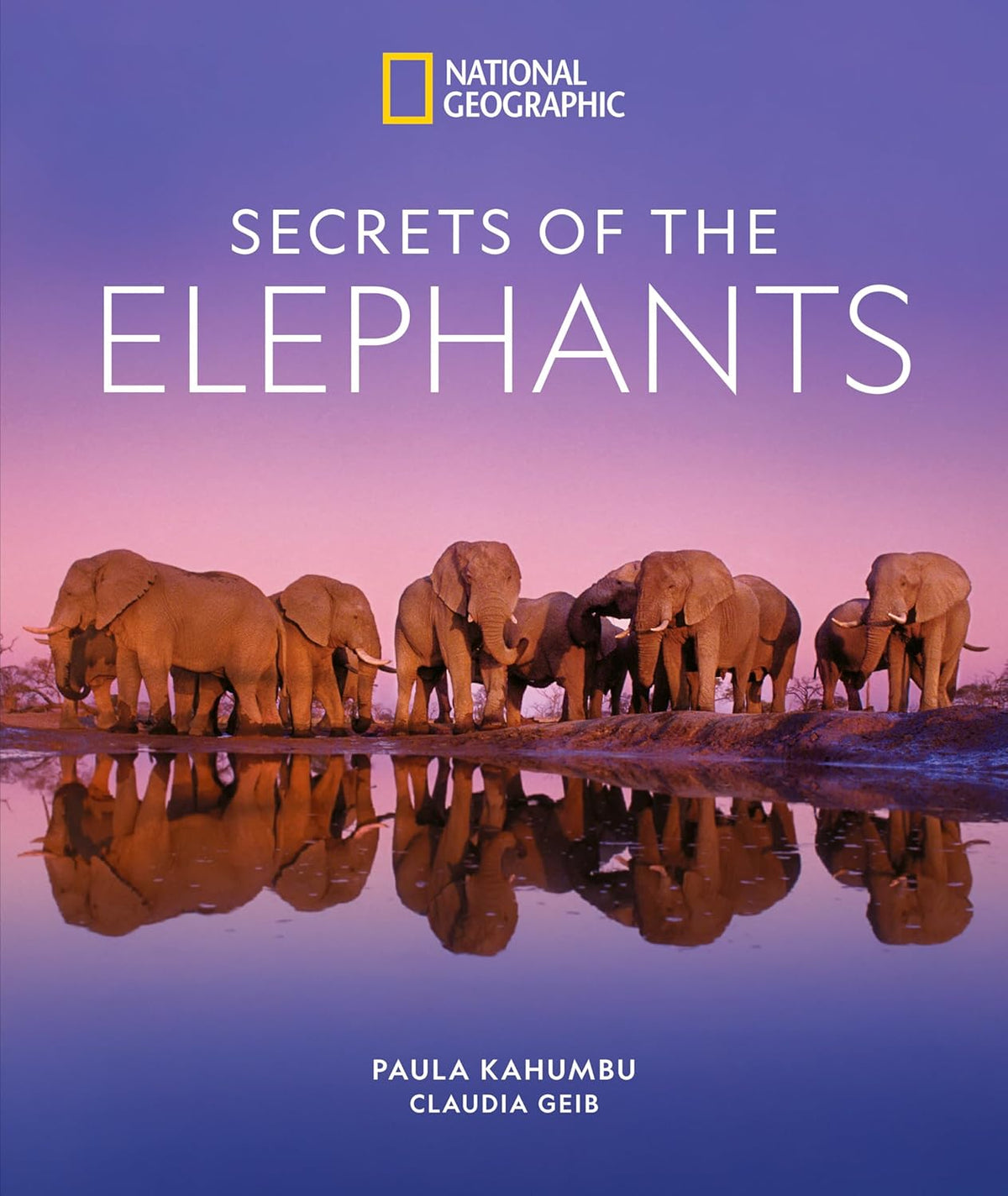 Secrets of the Elephants - Image 1