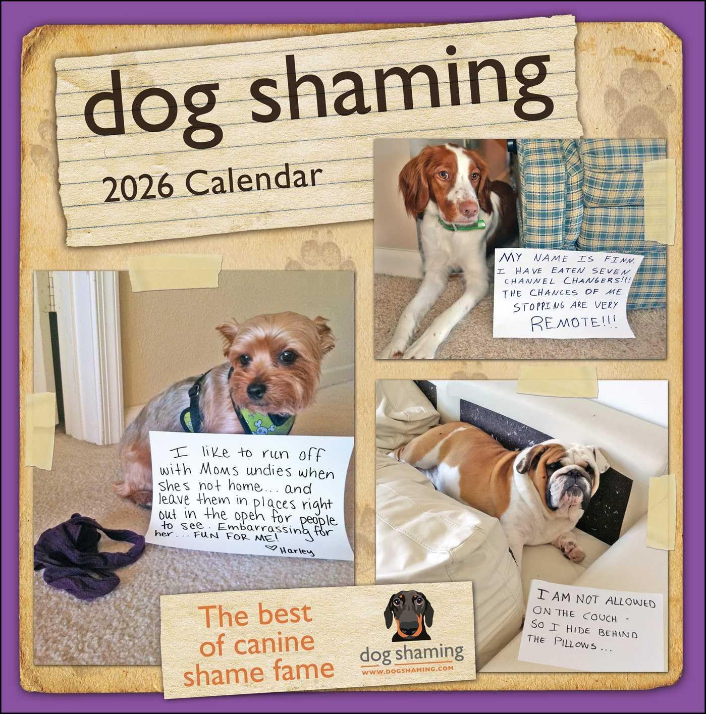 Dog Shaming 2026 Wall Calendar - Image 1