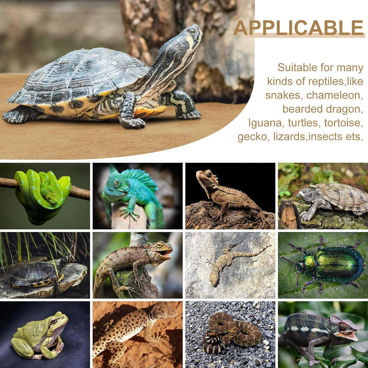 Haull tortoise cage floor liner flat layout showing four piece set composition.