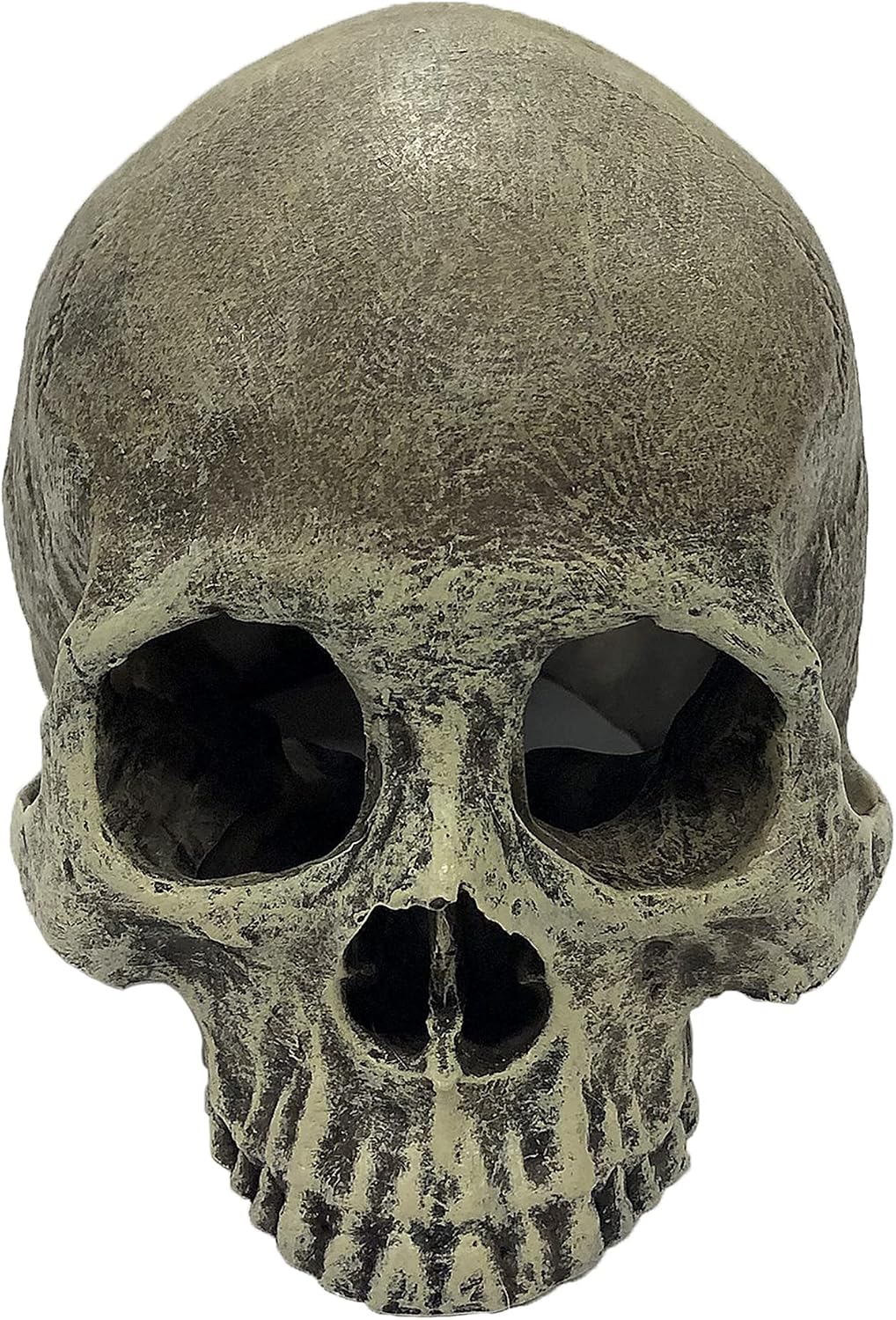Multipet Komodo reptile skull hideout side angle