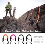 Arca Pet army green dog seat belt lifestyle photography