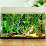 Quozuo artificial greenery setup inside a bearded dragon tank.