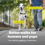 PetSafe Easy Walk harness front leash attachment ring