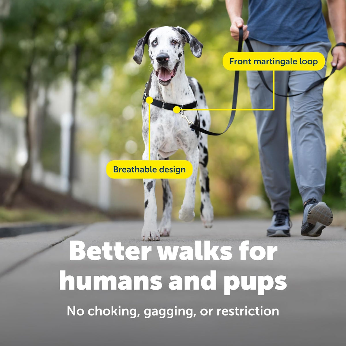PetSafe Easy Walk harness front leash attachment ring