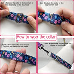 No slip escape proof girl dog collar in medium size.