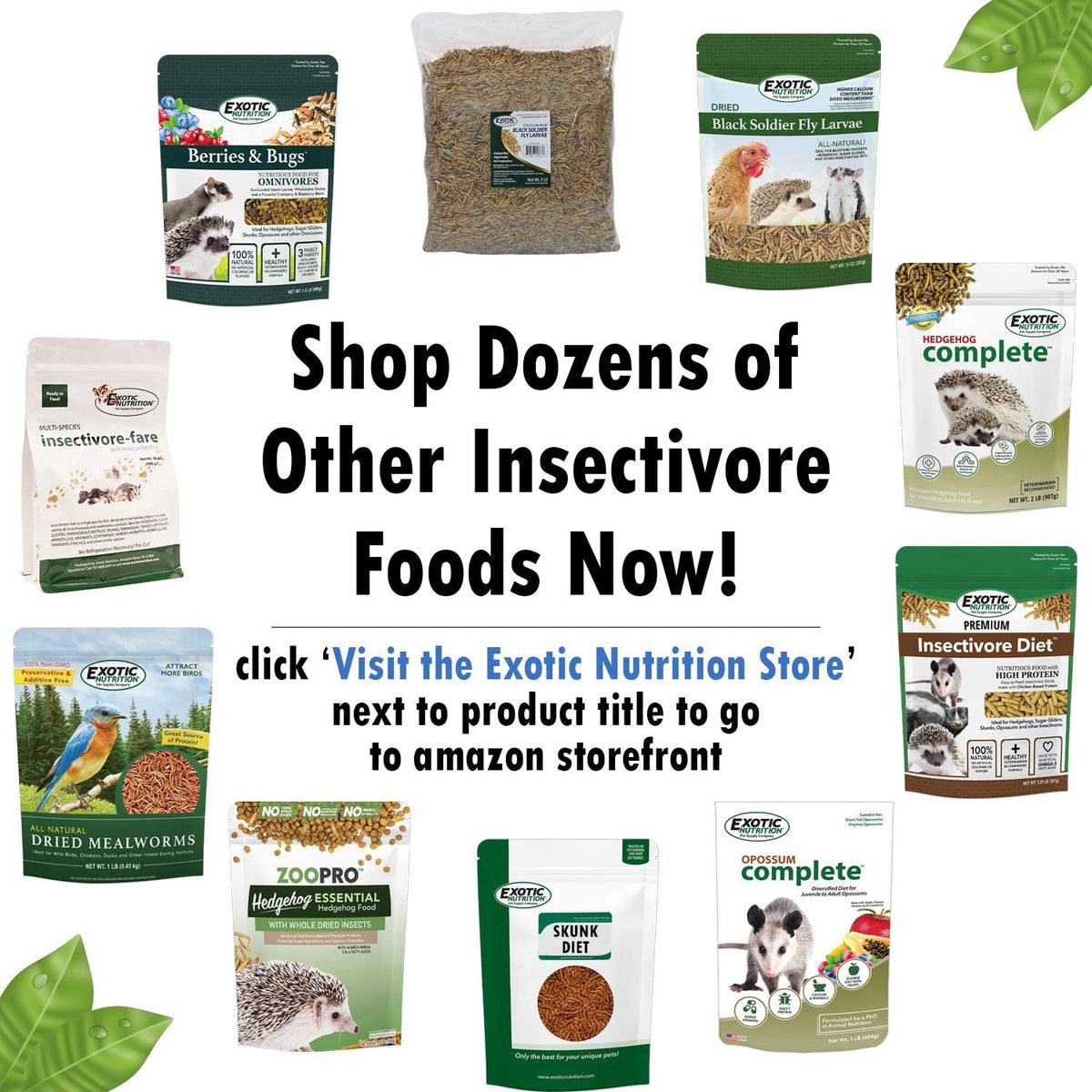 Exotic Nutrition Berries and Bugs premium pet food bag side view
