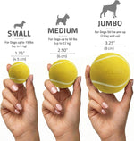 Dog playing with Playology chicken scented ball on grass
