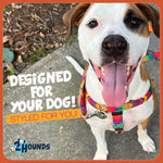 2 Hounds Design Freedom harness packaging showing Made in USA label