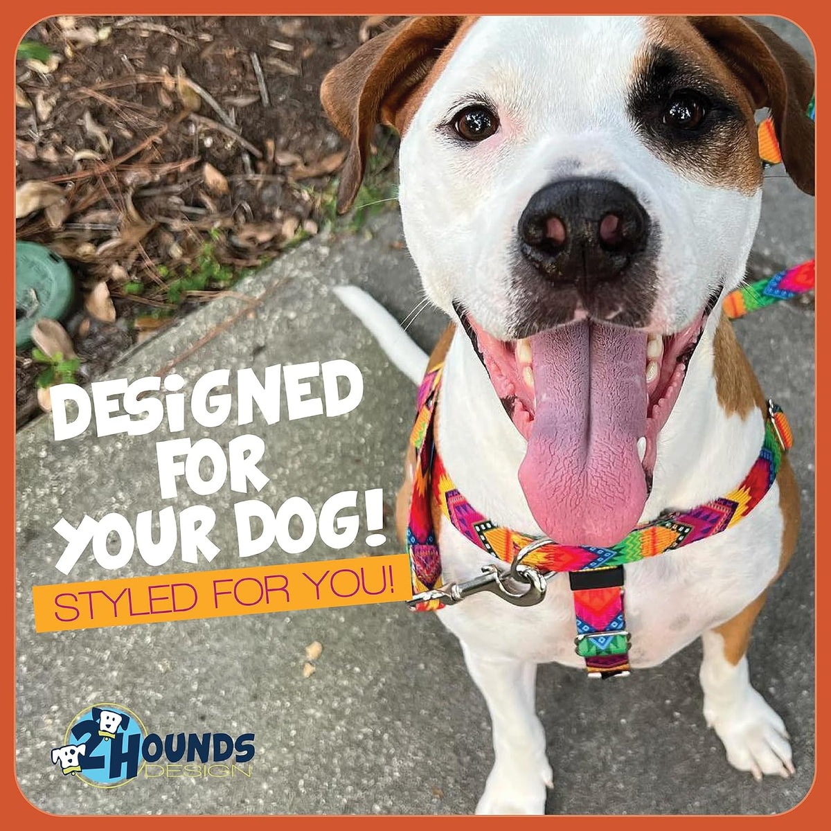 2 Hounds Design Freedom harness packaging showing Made in USA label