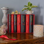 Harry Potter Gryffindor House Editions boxed set presentation case