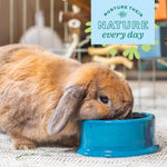 Oxbow guinea pig water bottle locking base and mounting system