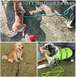 MayPaw high density nylon pet lead designed for small medium dogs