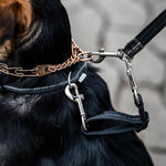 Herm Sprenger reflective leash connector for pet walking