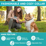 Diagram showing how to adjust flea collar size for dogs