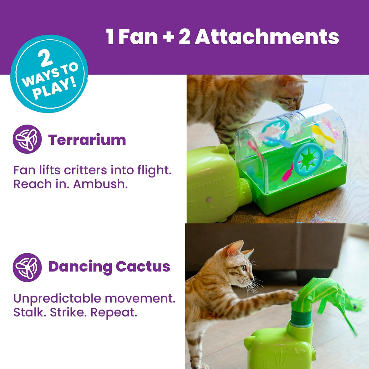 Close-up view of air-powered bug terrarium floating toys
