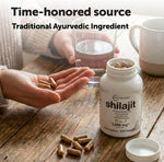 Micro Ingredients Shilajit herbal extract supplement capsule close-up