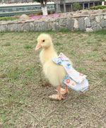 HEZHUO washable goose diaper hook and loop strap adjustments