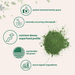 Micro Ingredients organic barley grass powder scoop serving size