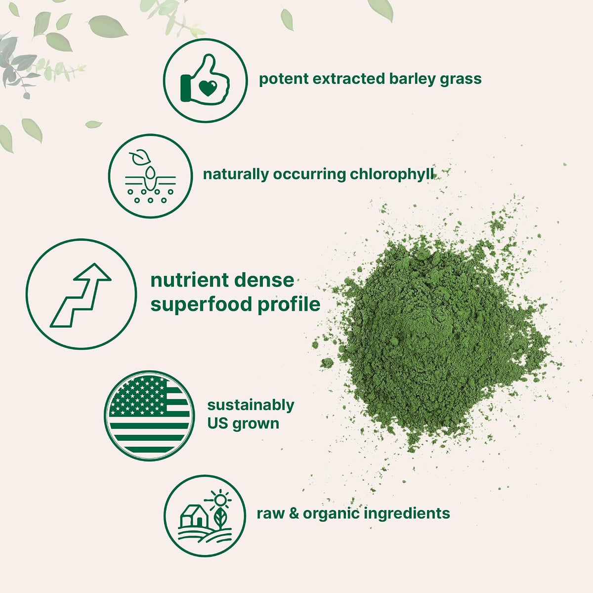 Micro Ingredients organic barley grass powder scoop serving size
