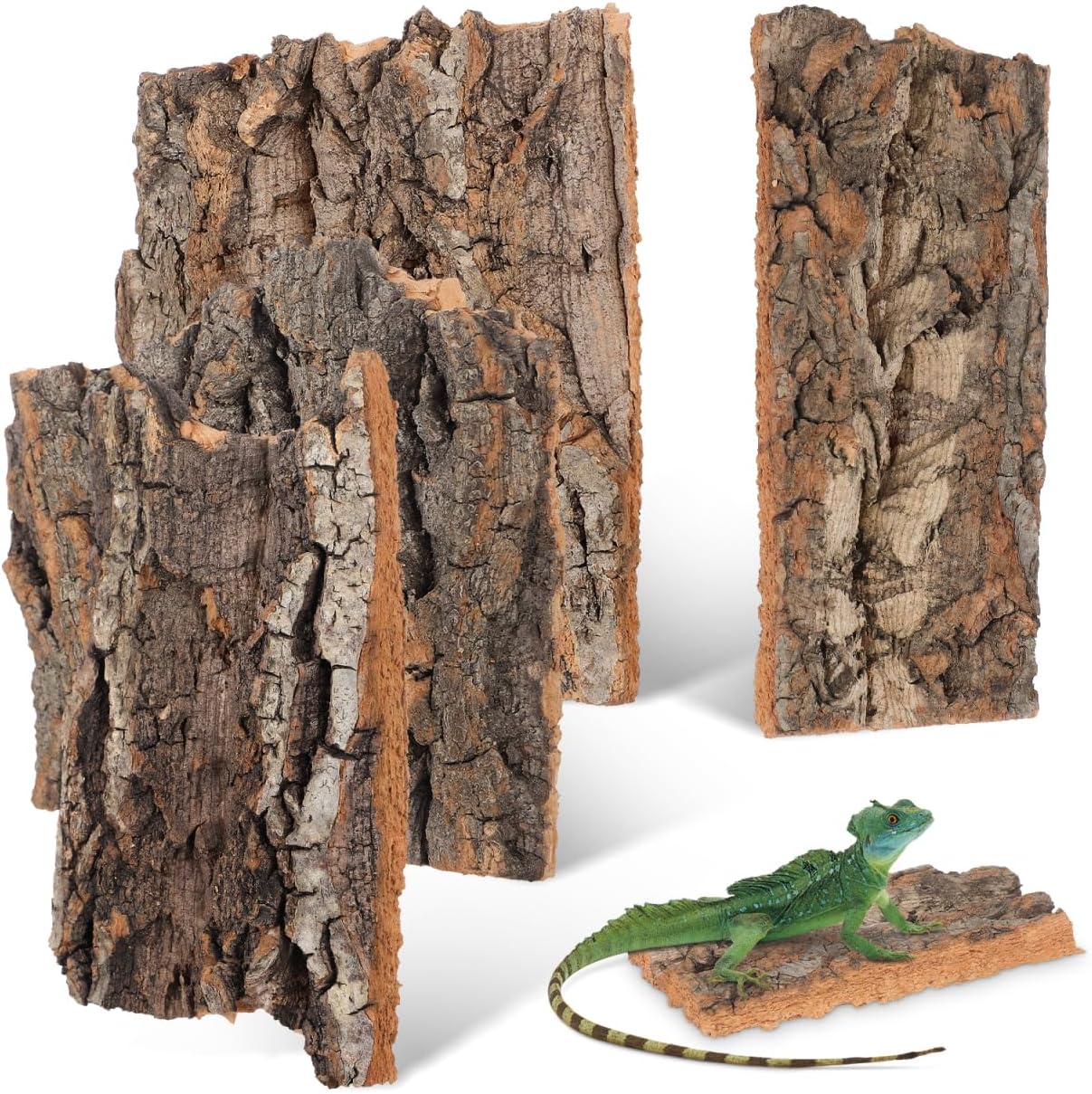 Nolitoy reptile bark climbing platform front view