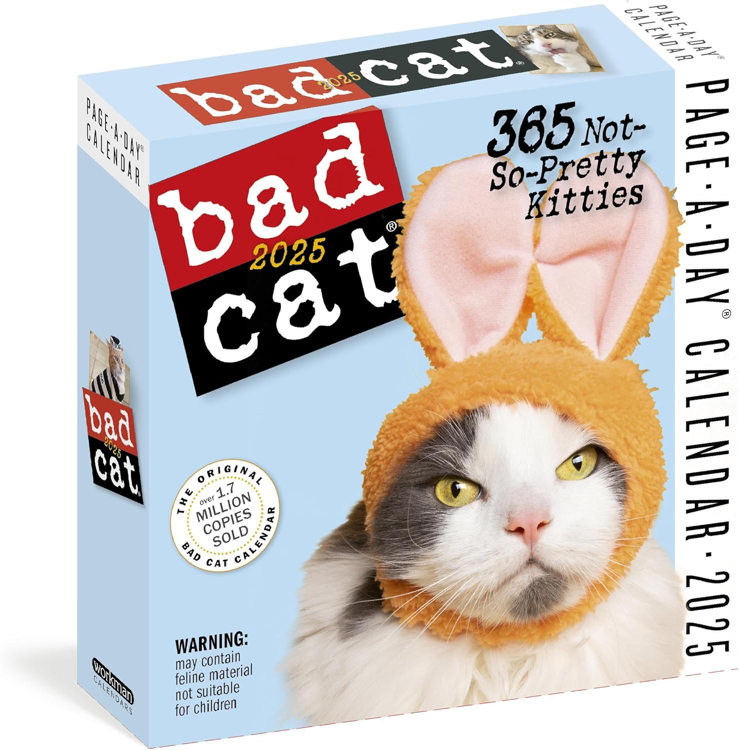 Bad Cat Page-A-Day® Calendar 2025: 365 Not-So-Pretty Kitties - Image 1