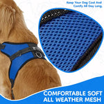 Side profile of small blue Copatchy adjustable dog harness