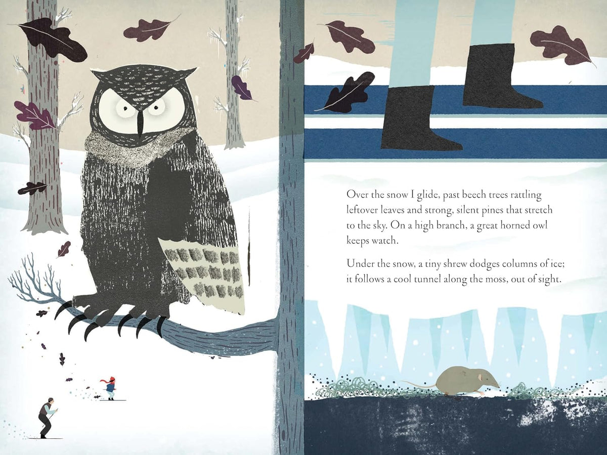 Children picture book pages highlighting winter nature artwork