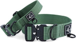 Made To Roam Explorer dog collar metal buckle closeup
