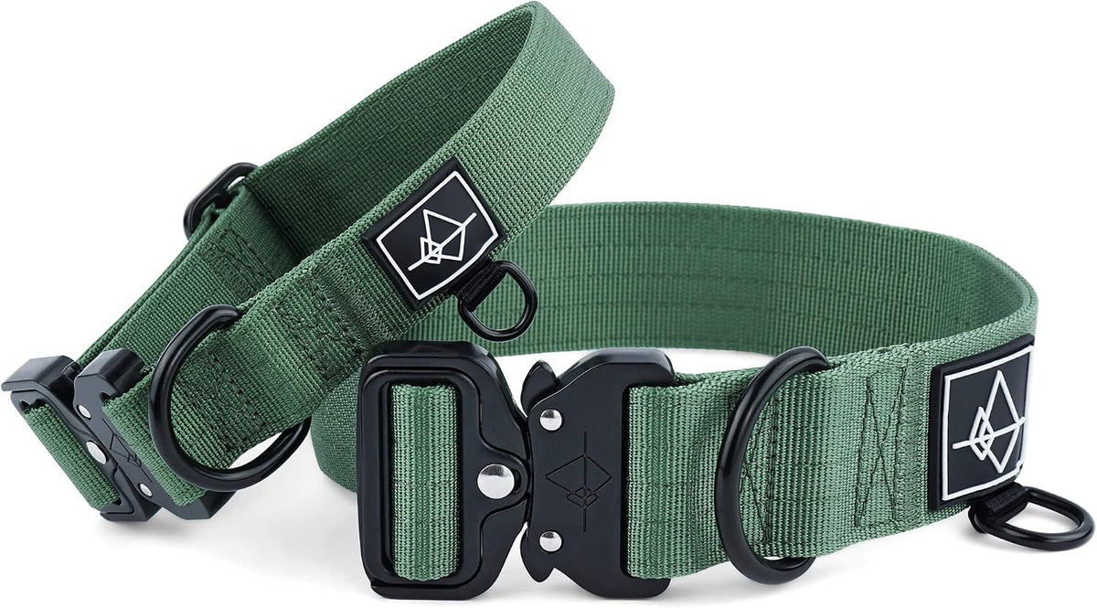 Made To Roam Explorer dog collar metal buckle closeup