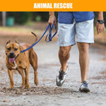 Flexible and lightweight 6-foot nylon rope leash coiled for easy carrying and storage.