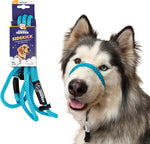 Heather's Heroes Sidekick Dog Headcollar with Leash - Sidekick Leash for Dogs, Effective Dog Training Tool for Leash Reactivity and Behavior Issues (Turquoise, Mini (1/4")) - Image 12