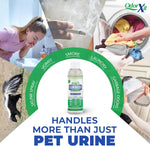 OdorXit professional strength smell neutralizer being applied to carpet stains