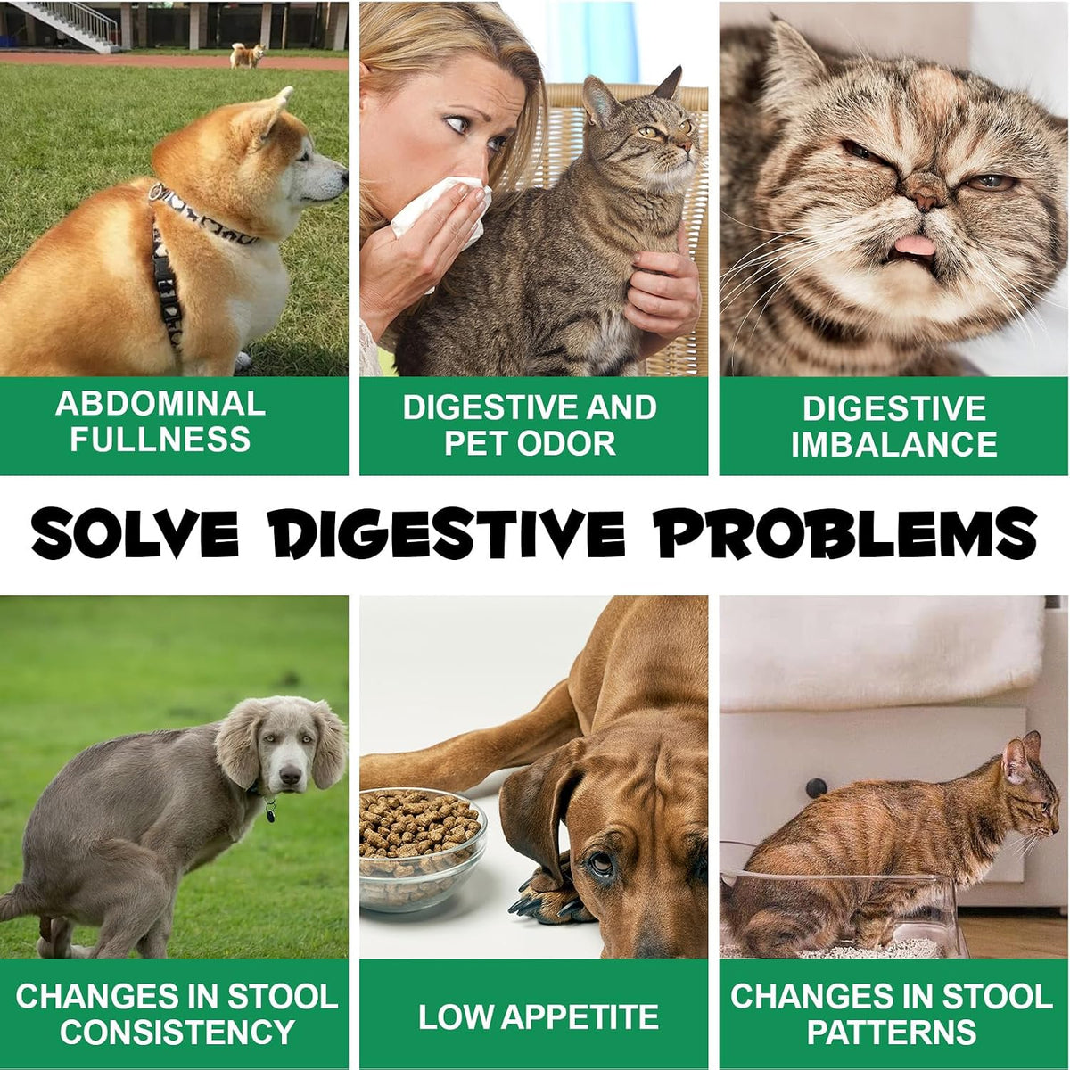 Pet first aid anti diarrhea paste product display